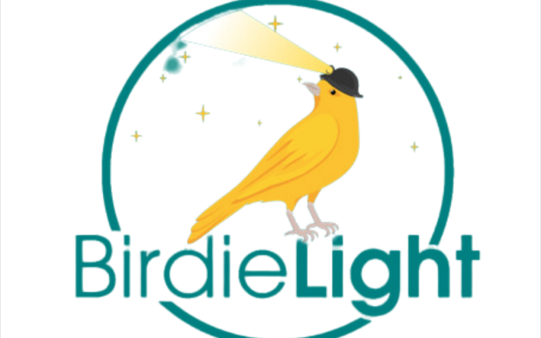 BirdieLight | peace partner